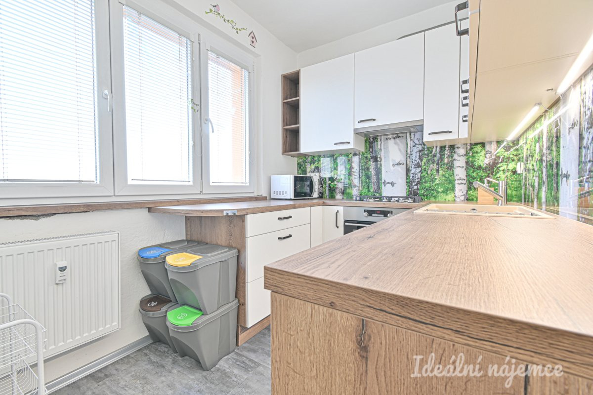 Pronájem bytu 3+1, Vysoká, Štýřice,  21.900 Kč/měs, 58 m2