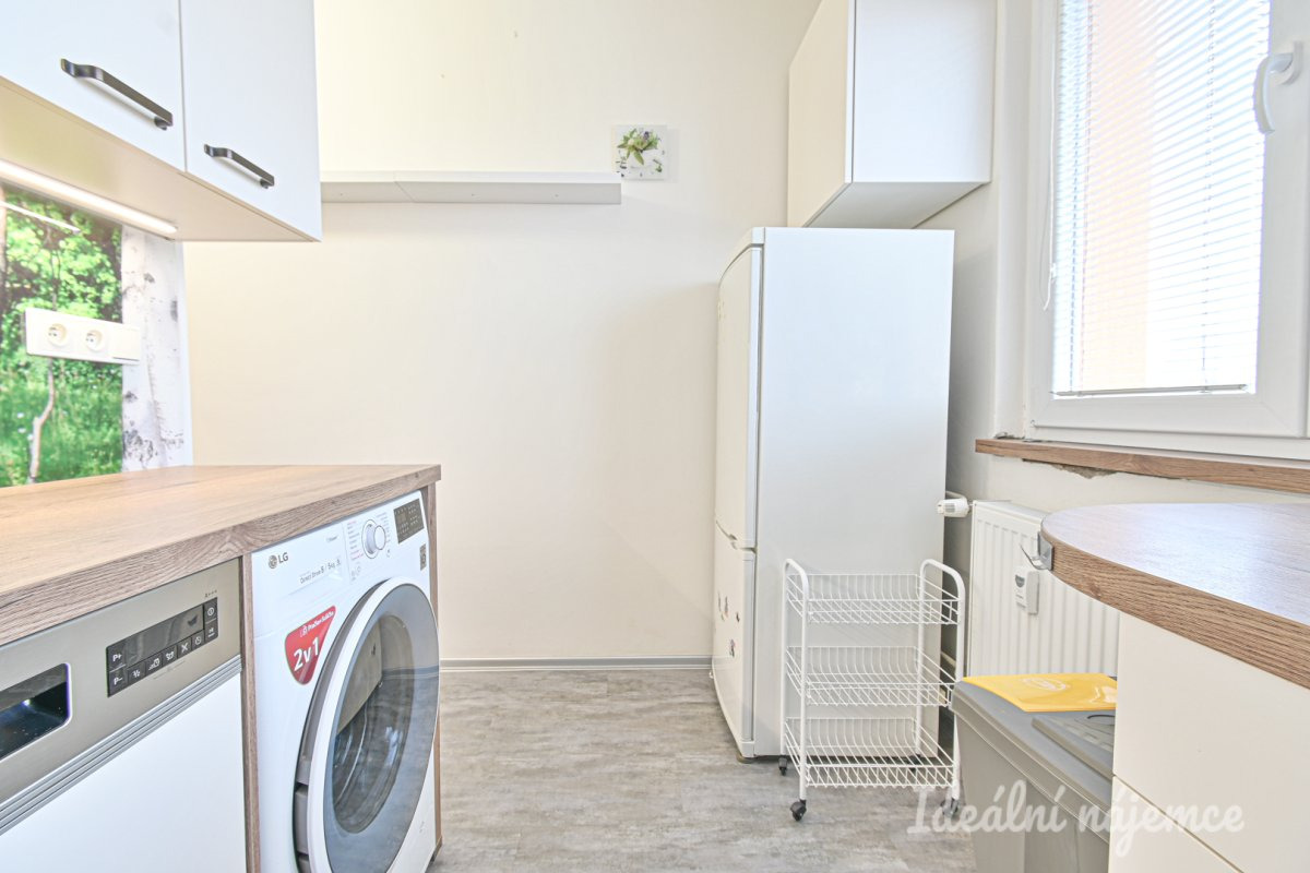 Pronájem bytu 3+1, Vysoká, Štýřice,  21.900 Kč/měs, 58 m2