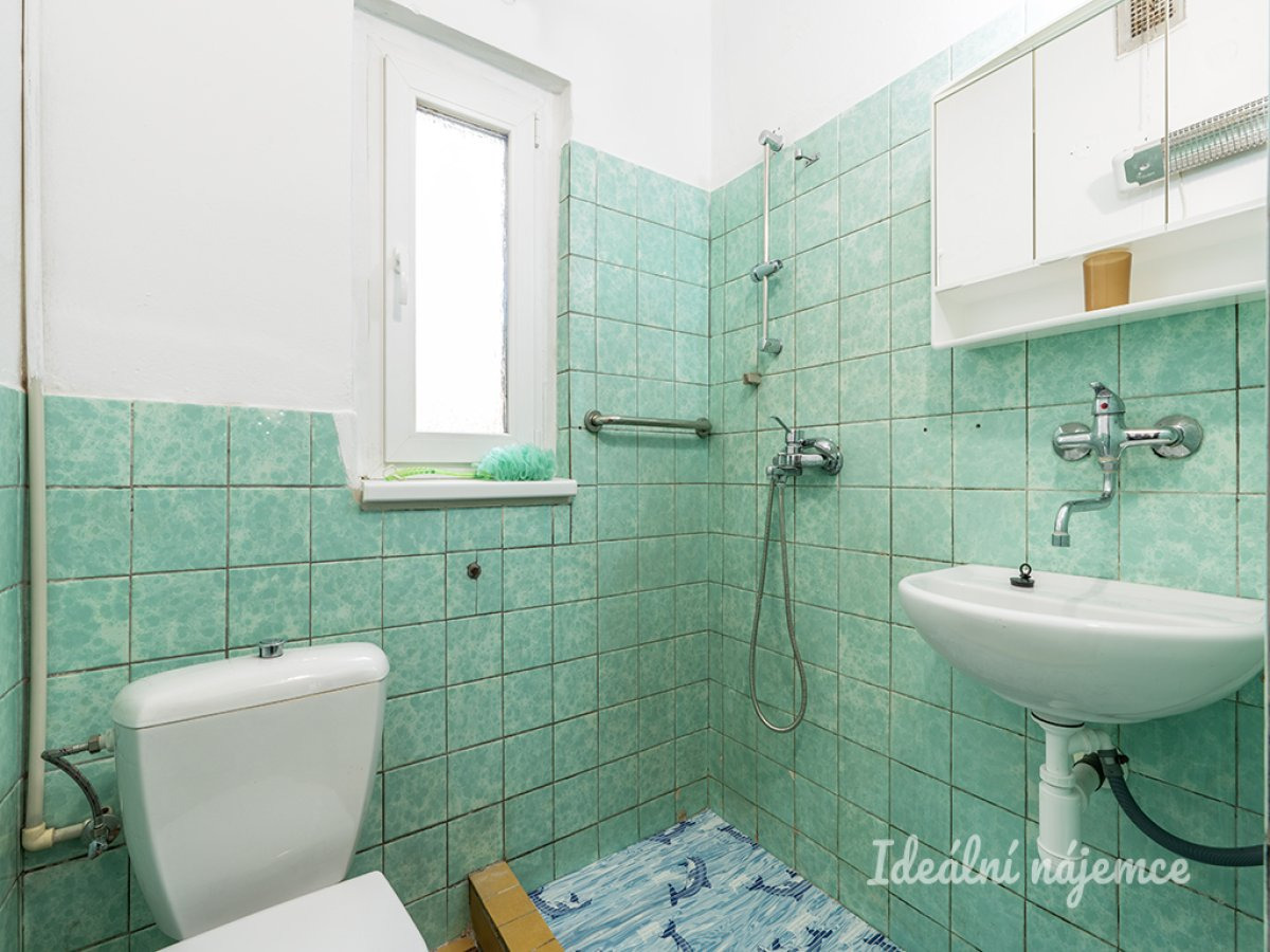 Fotku se nepodařilo načíst.