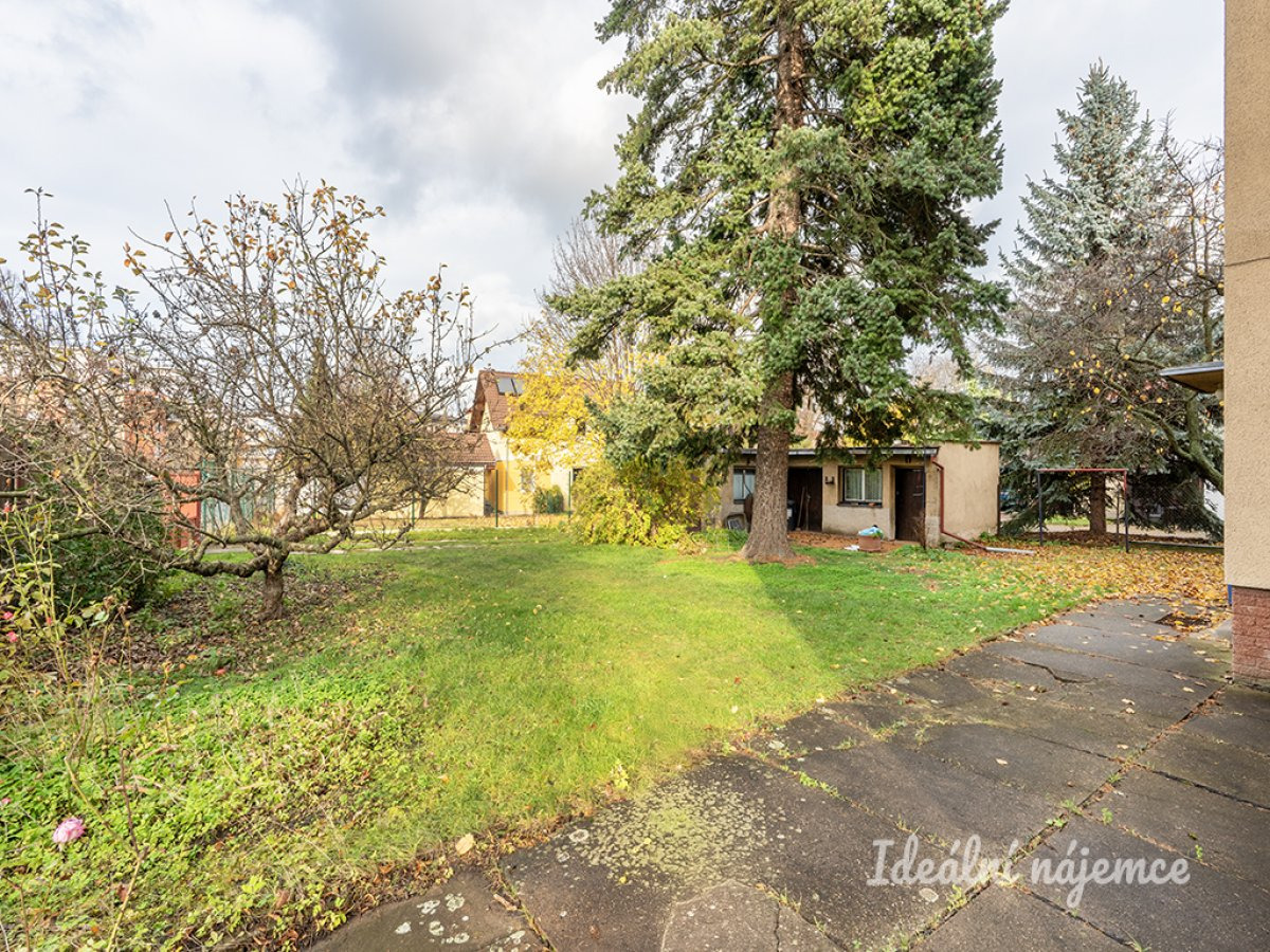 Fotku se nepodařilo načíst.