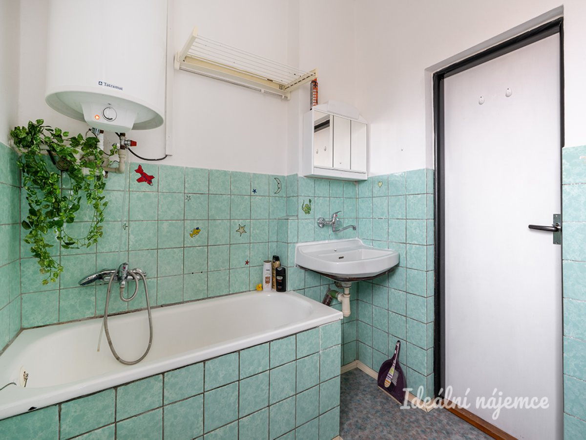 Fotku se nepodařilo načíst.