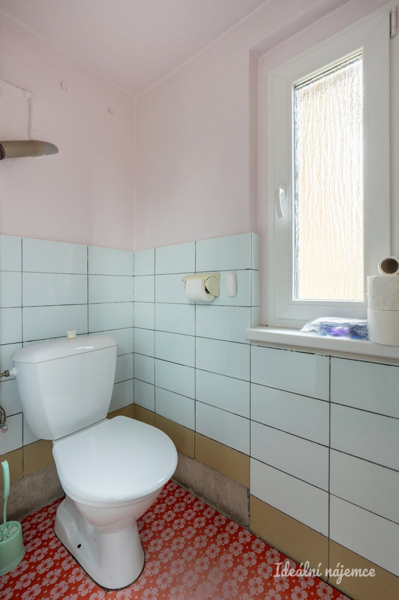 Fotku se nepodařilo načíst.