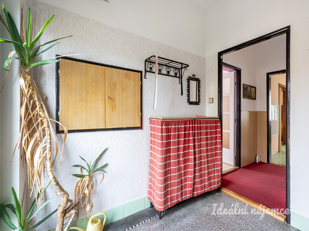 Fotku se nepodařilo načíst.