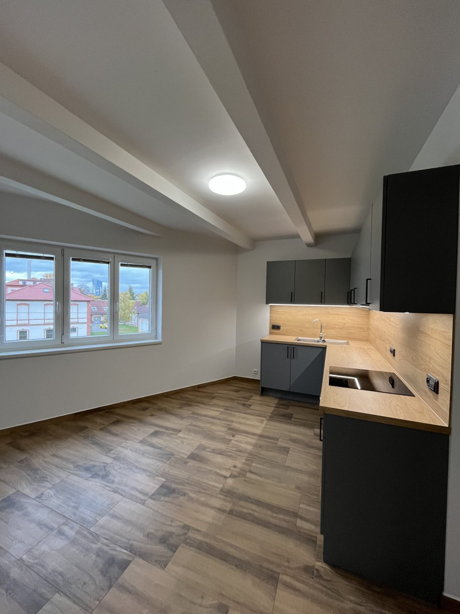 Pronájem bytu 2+1, Holická, Hodolany, 19000Kč/měs, 68 m2