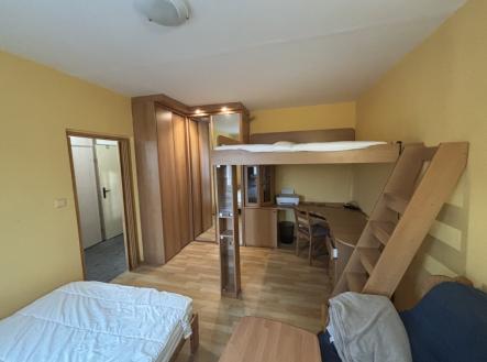 Pronájem bytu, 1+1, 34 m² obrázek