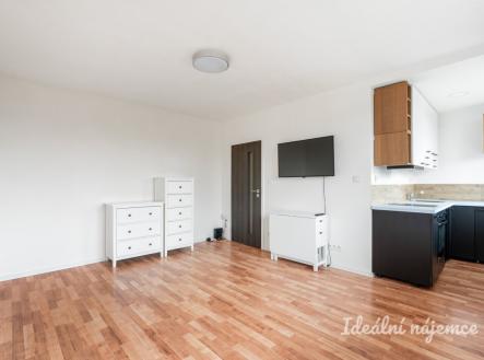 Pronájem bytu, 1+kk, 26 m²