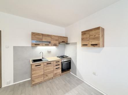 Pronájem bytu, 1+1, 42 m²