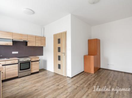 Pronájem bytu, 1+kk, 24 m²
