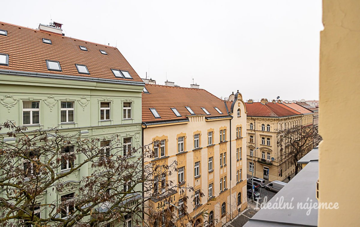 Pronájem bytu 2+kk, Nitranská, Vinohrady