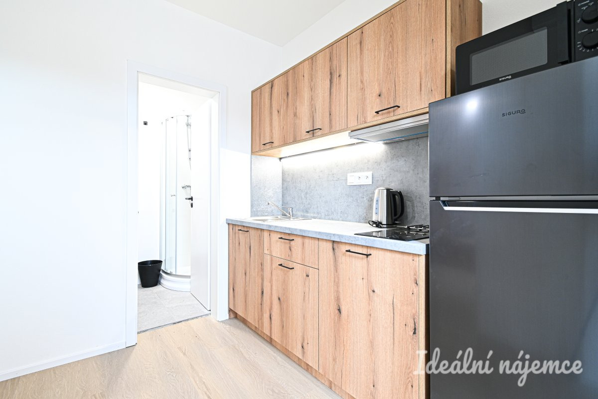 Byt k pronájmu 1+1, Bubeníčkova, Židenice, 14 000 Kč/měsíc, 25 m²