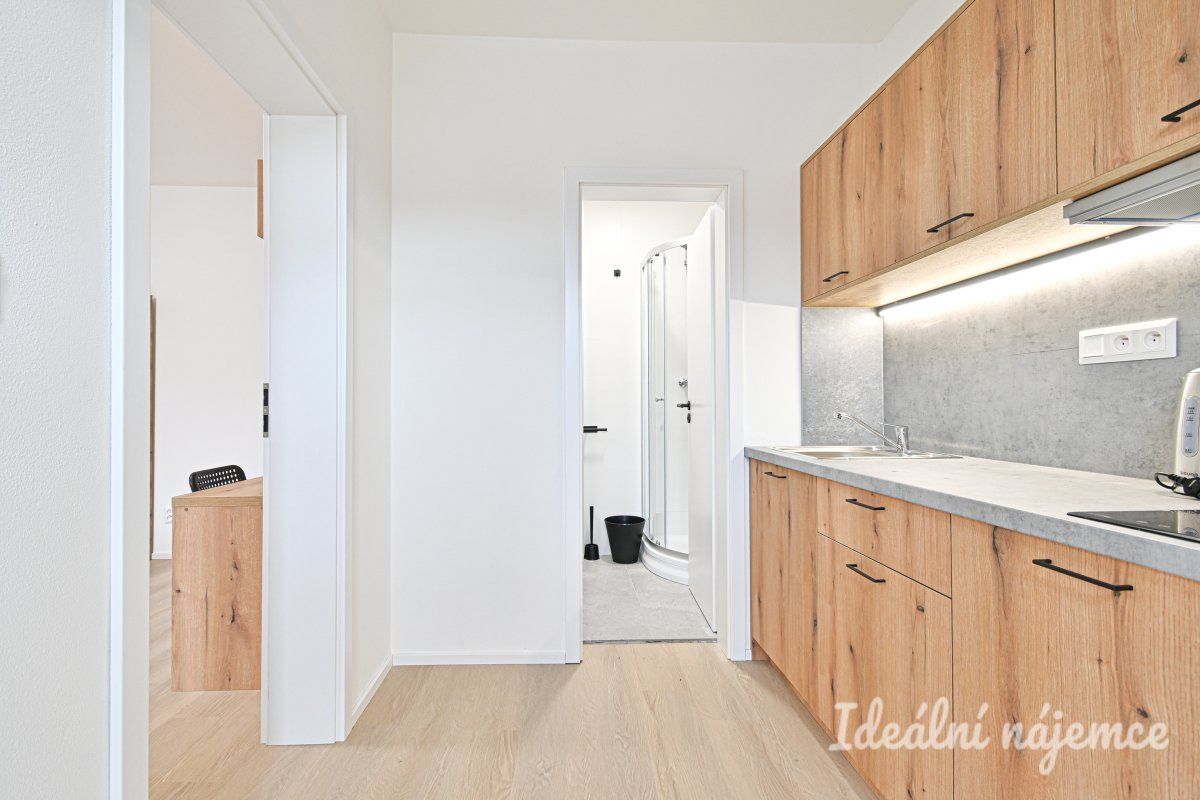 Byt k pronájmu 1+1, Bubeníčkova, Židenice, 14 000 Kč/měsíc, 25 m²
