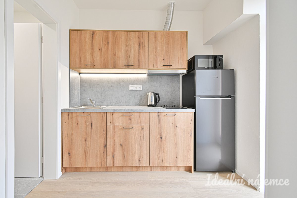 Byt k pronájmu 1+1, Bubeníčkova, Židenice, 14 000 Kč/měsíc, 25 m²