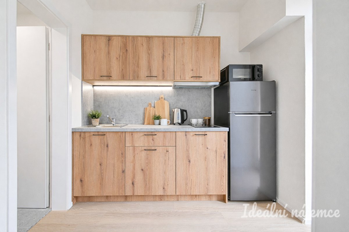 Byt k pronájmu 1+1, Bubeníčkova, Židenice, 14 000 Kč/měsíc, 25 m²