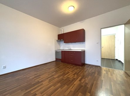 Pronájem bytu, 1+kk, 27 m²