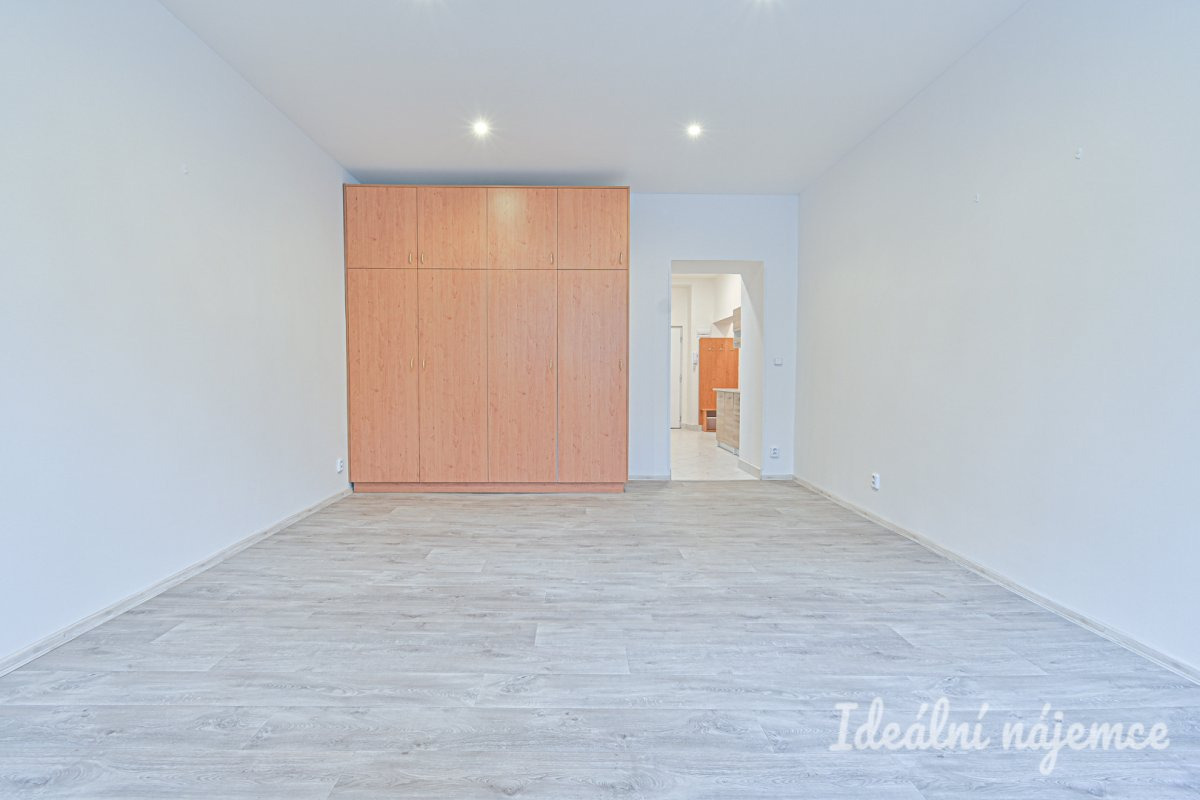 Podnájem bytu 1+1, Antonínská, Brno-Veveří, 16.000 Kč/měsíc, 38 m2