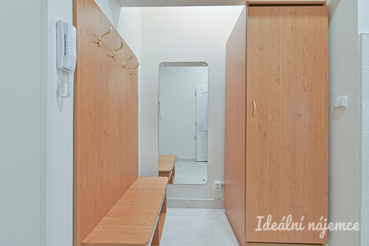 Podnájem bytu 1+1, Antonínská, Brno-Veveří, 16.000 Kč/měsíc, 38 m2