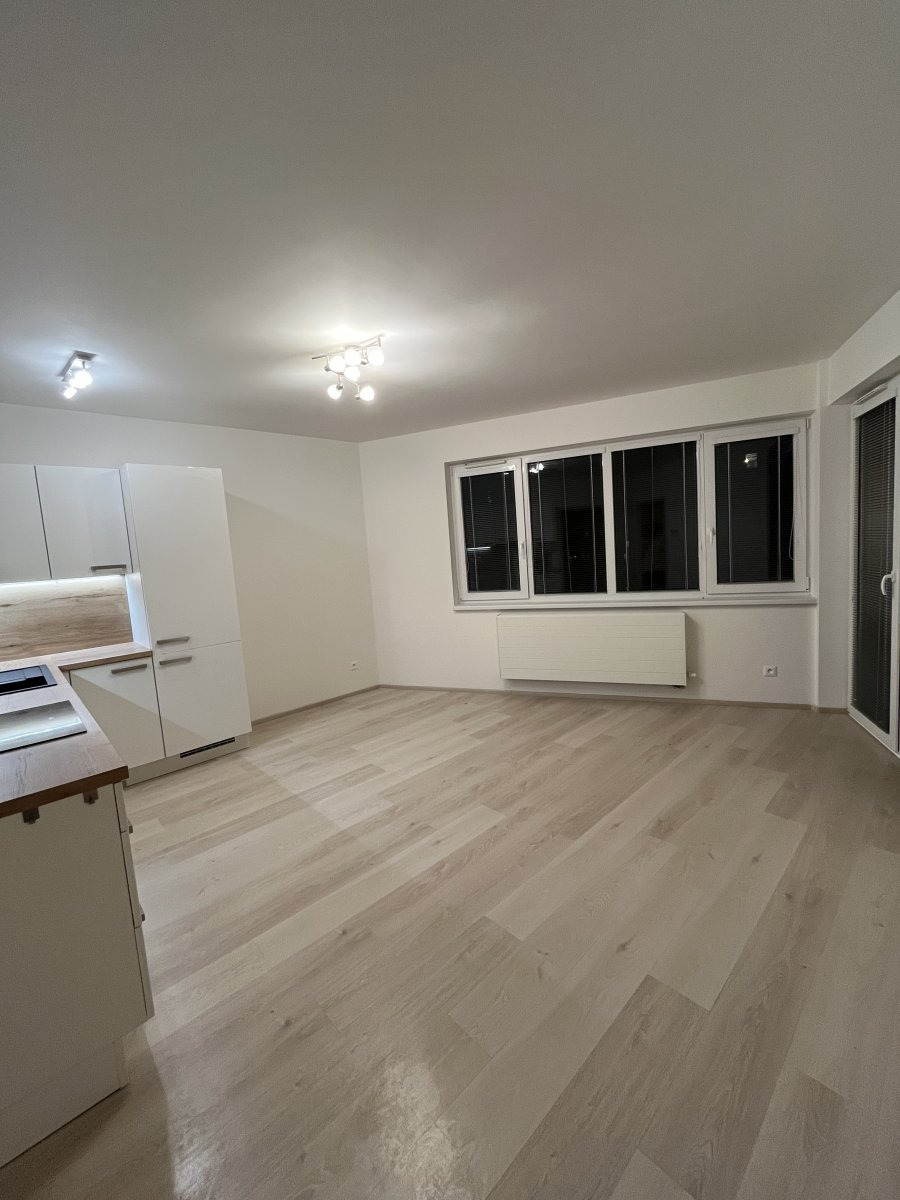 Pronájem bytu 2+kk s parkovacím stáním, Eduarda Hamburgera, Olomouc-město, 17500 Kč/měs, 45 m2