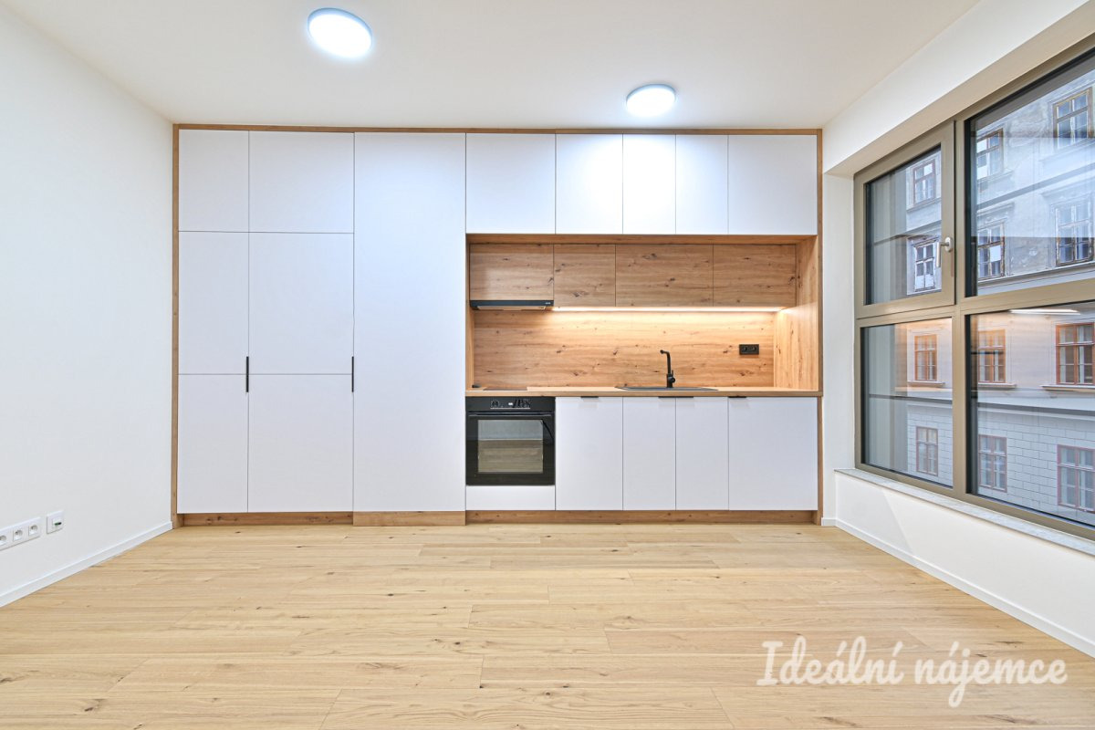 Pronájem bytu 1+kk, Bratislavská, Zábrdovice,  Kč/měs, 29 m2