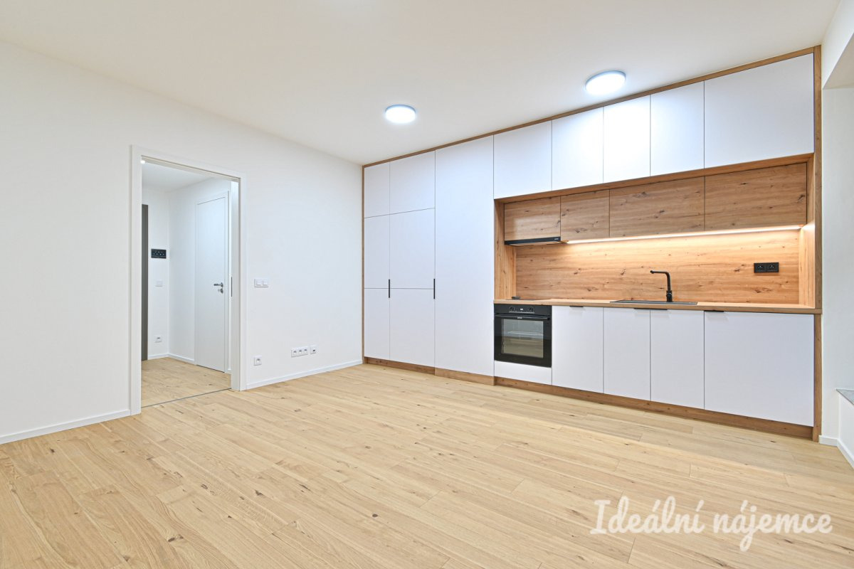 Pronájem bytu 1+kk, Bratislavská, Zábrdovice,  Kč/měs, 29 m2