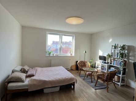 Pronájem bytu, 1+kk, 34 m²