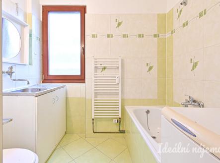 Pronájem bytu, 1+kk, 24 m²