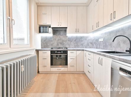 Pronájem bytu, 1+1, 41 m²