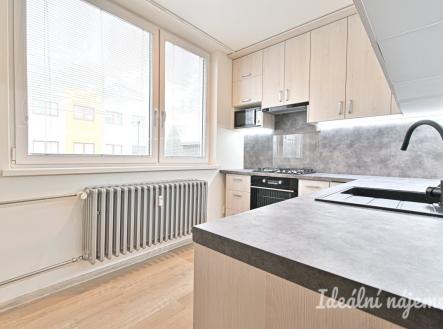 Pronájem bytu, 1+1, 41 m²