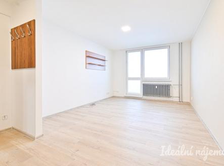 Pronájem bytu, 1+1, 41 m²