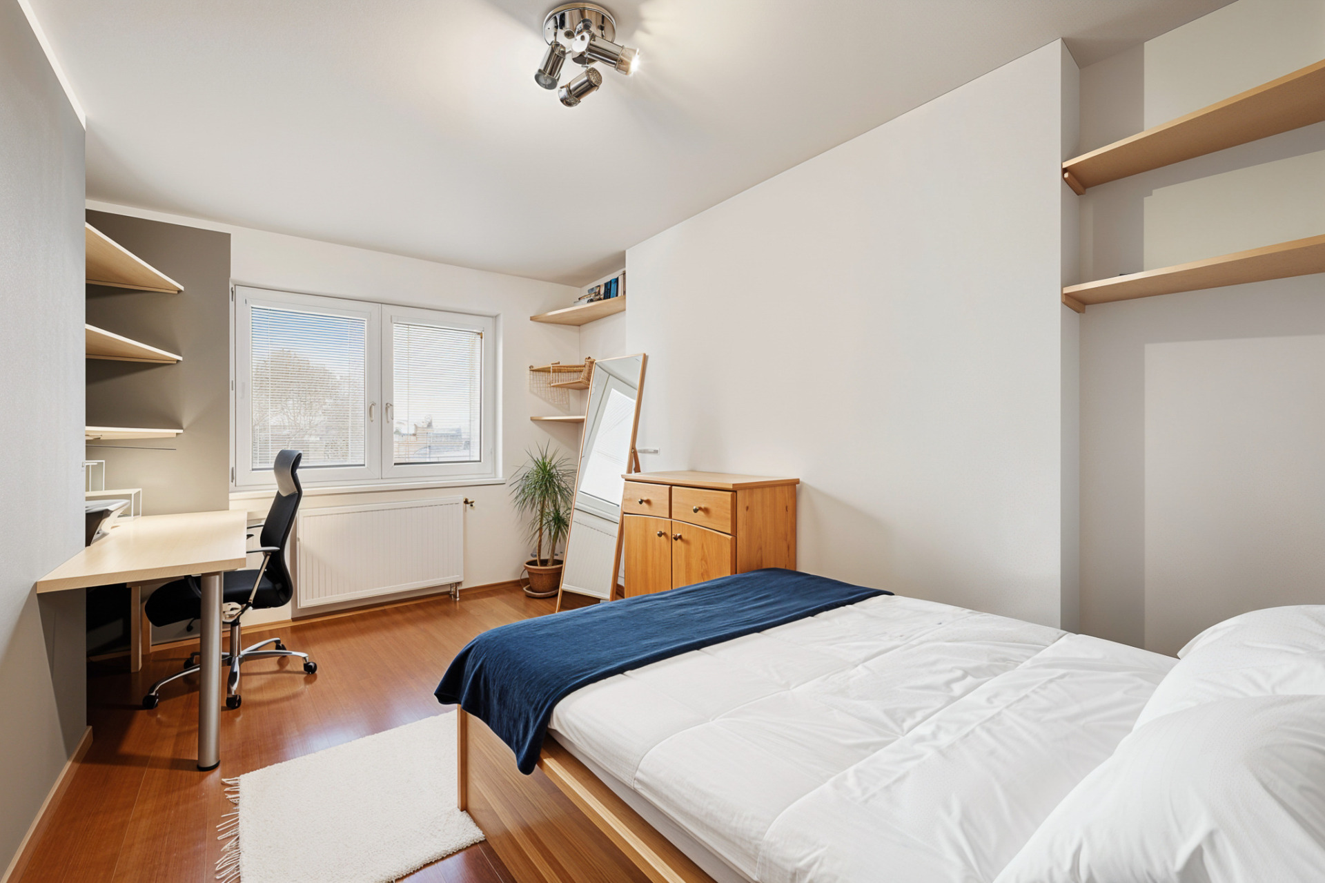 Pronájem bytu 3+1, Přichystalova, Olomouc - Holice u Olomouce