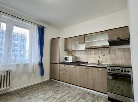 Pronájem bytu, 1+1, 42 m²