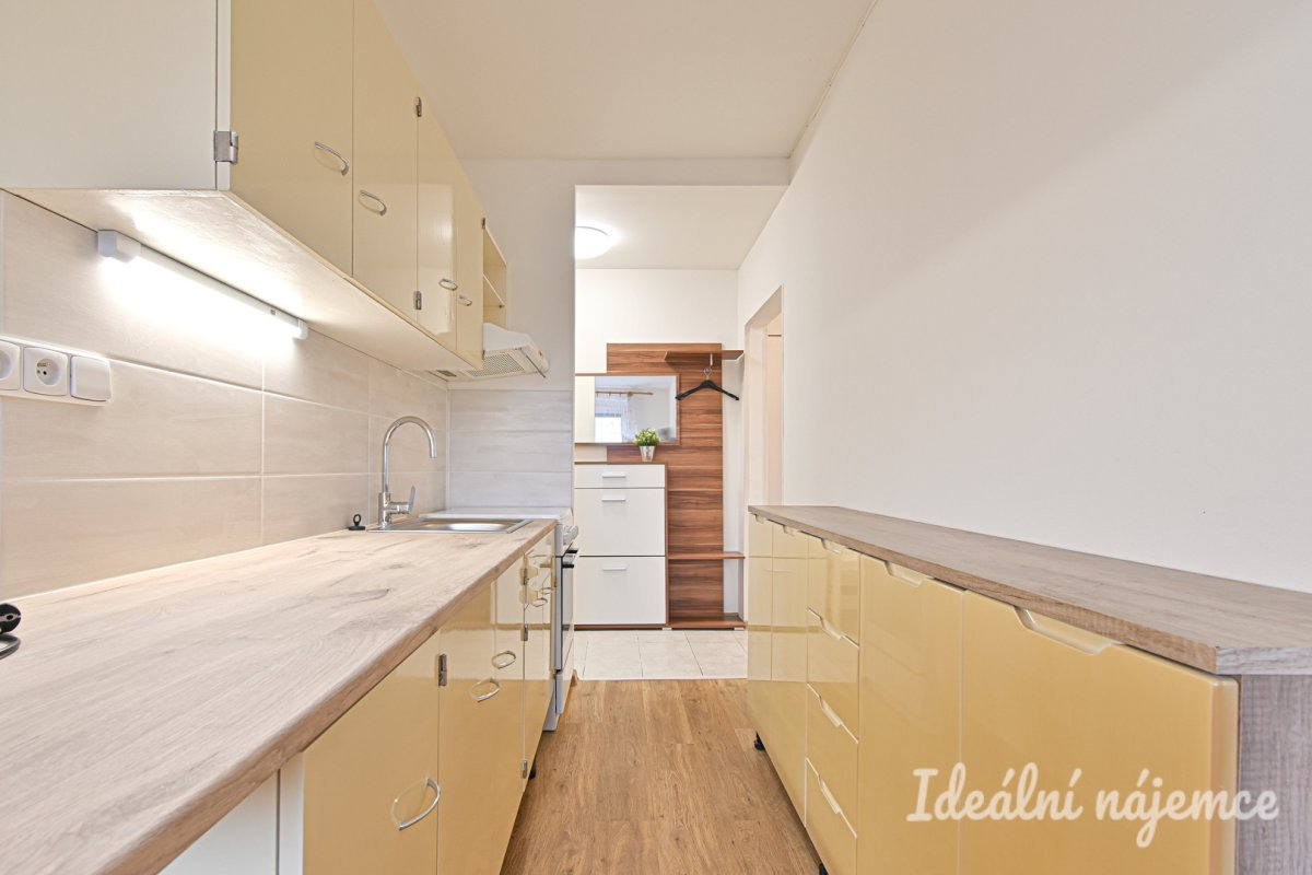 Podnájem bytu 2+1, Kubíčkova, Bystrc,  19.000 Kč/měs, 55 m2