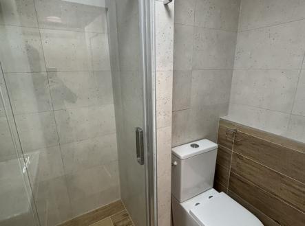 Pronájem bytu, 1+kk, 31 m²