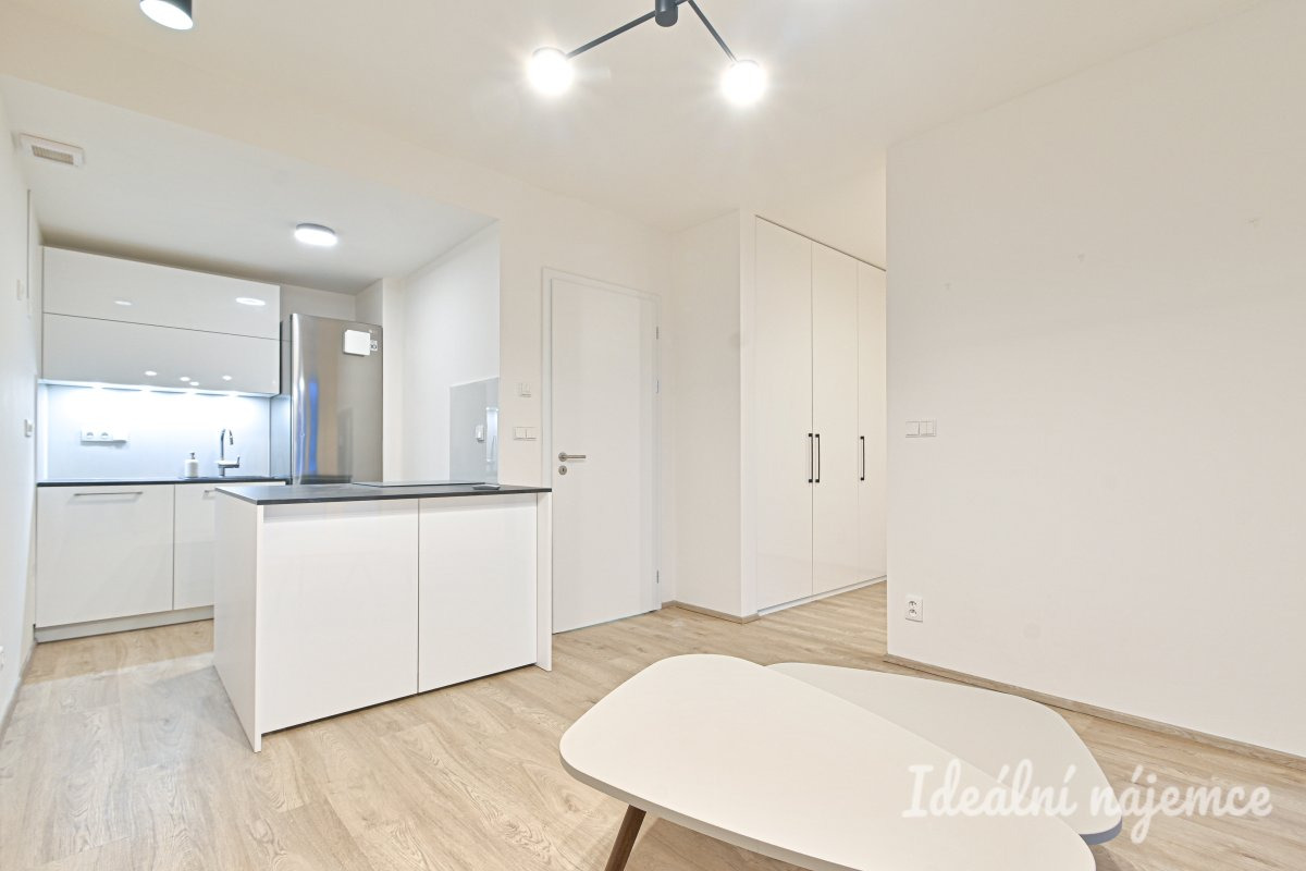 Pronájem bytu 2+kk, Líšeňská, Židenice, 18000 Kč/měs, 34 m2