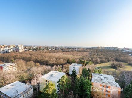 Pronájem bytu, 2+kk, 36 m²