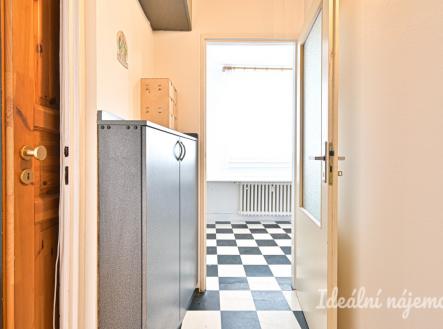 Pronájem bytu, 1+1, 32 m²