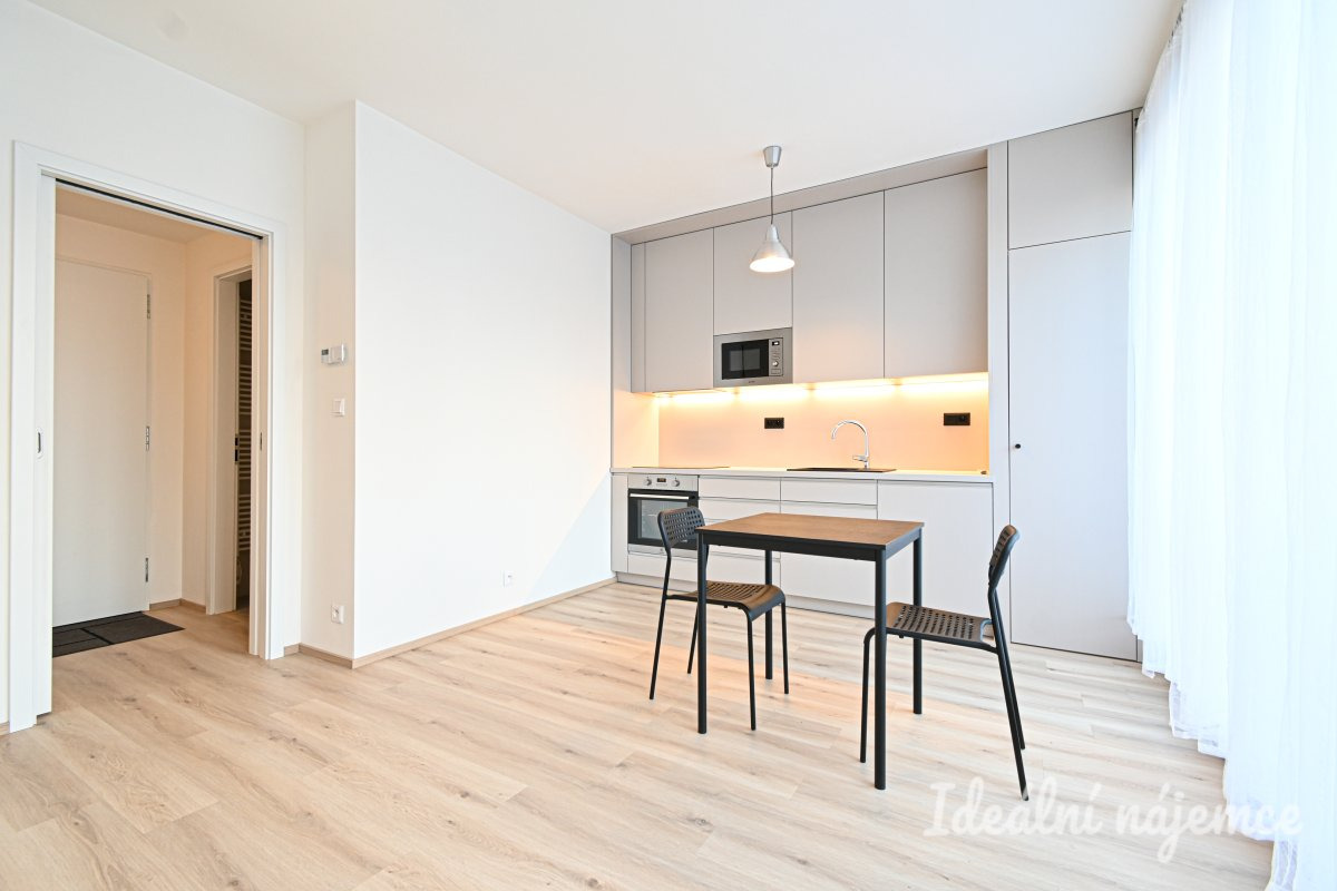 Podnájem bytu 1+kk, Rybářská, Staré Brno,  15.000 Kč/měs, 29 m2