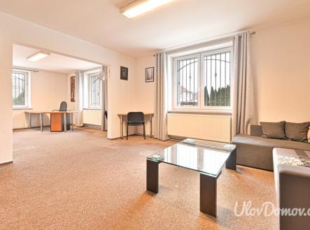 Pronájem bytu, 7+1, 320 m²