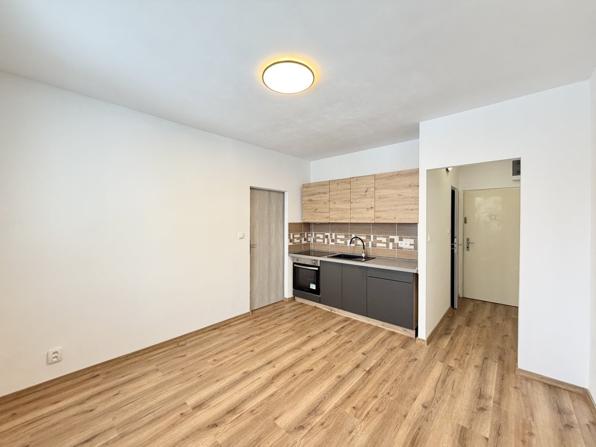 Pronájem bytu 1+1, Jáchymovská, Liberec, 12000 Kč/měs, 39 m2