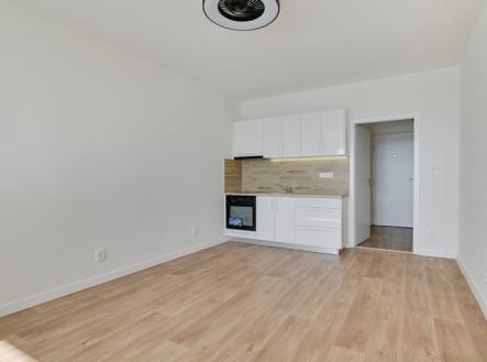 Pronájem bytu, 1+kk, 29 m²