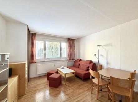Pronájem bytu, 1+1, 41 m²