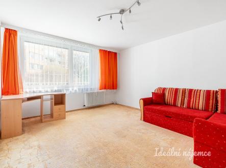 Pronájem bytu, 1+1, 41 m²