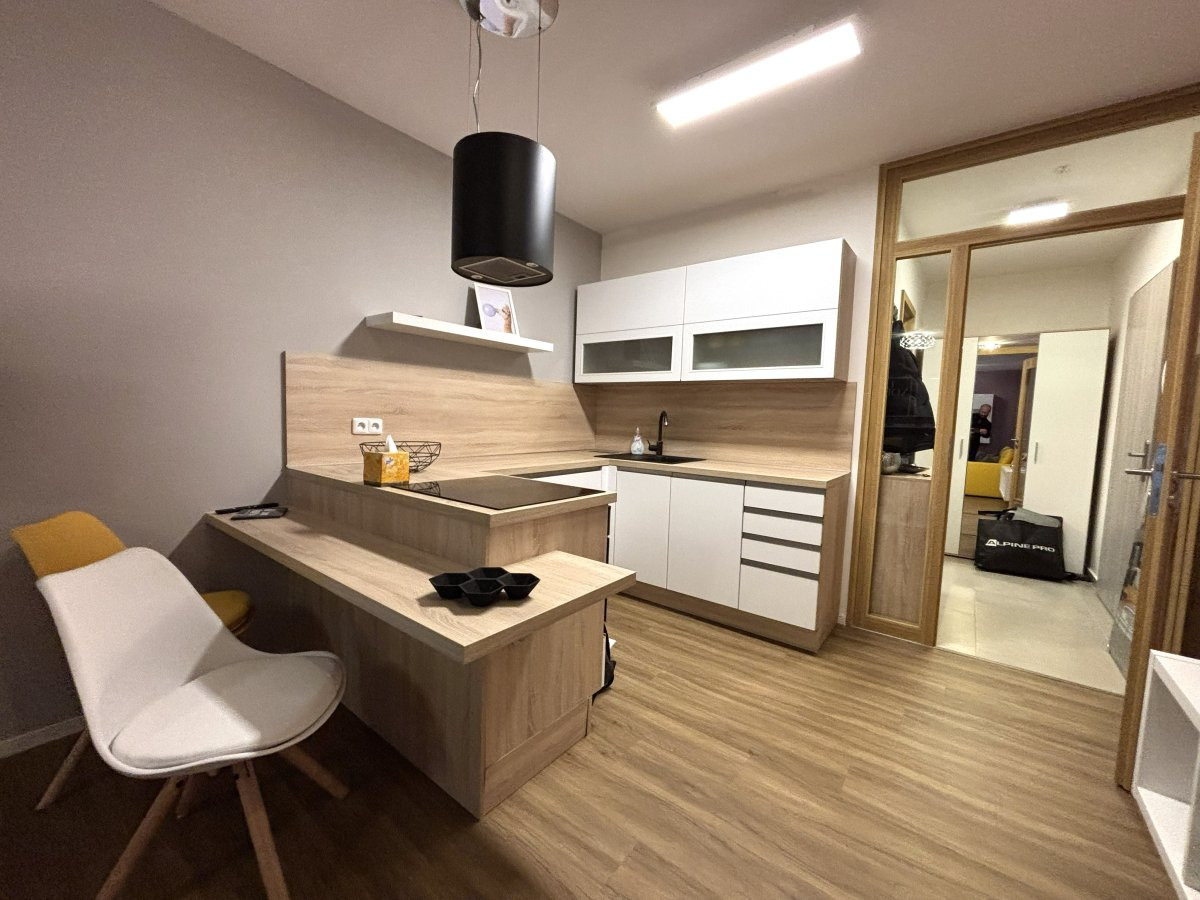 Pronájem bytu 1+kk, Pallova, Plzeň, 13.300,- Kč/měs, 37 m2