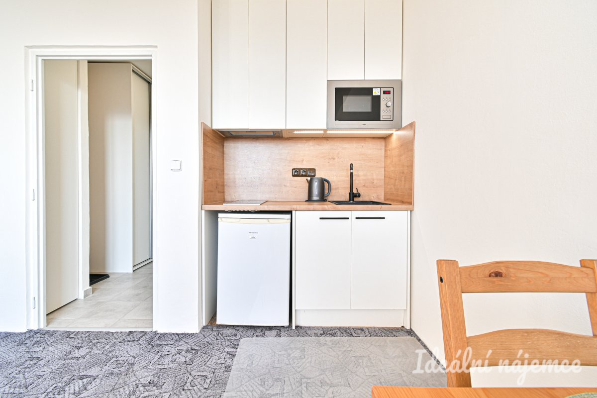 Pronájem bytu 1+kk, Halasovo náměstí, Lesná,  12.000 Kč/měs, 23 m2