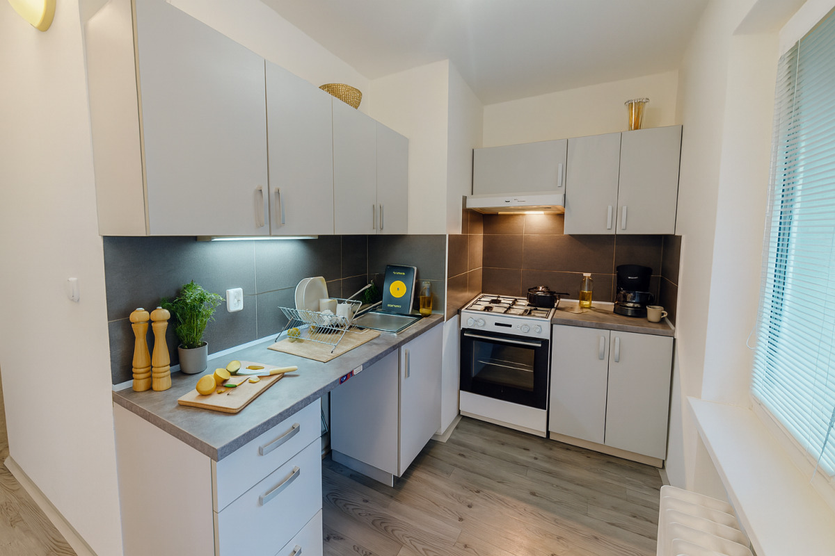 Podnájem bytu 1+1 35 m2, ul. 29. dubna 255/25 ,Ostrava - Výškovice