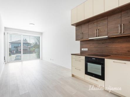 Pronájem bytu, 1+kk, 31 m²