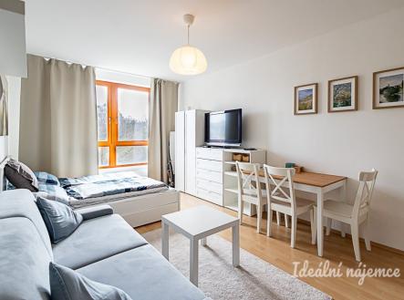 Pronájem bytu, 1+kk, 28 m²