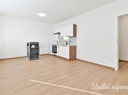 Pronájem bytu, 1+kk, 31 m²