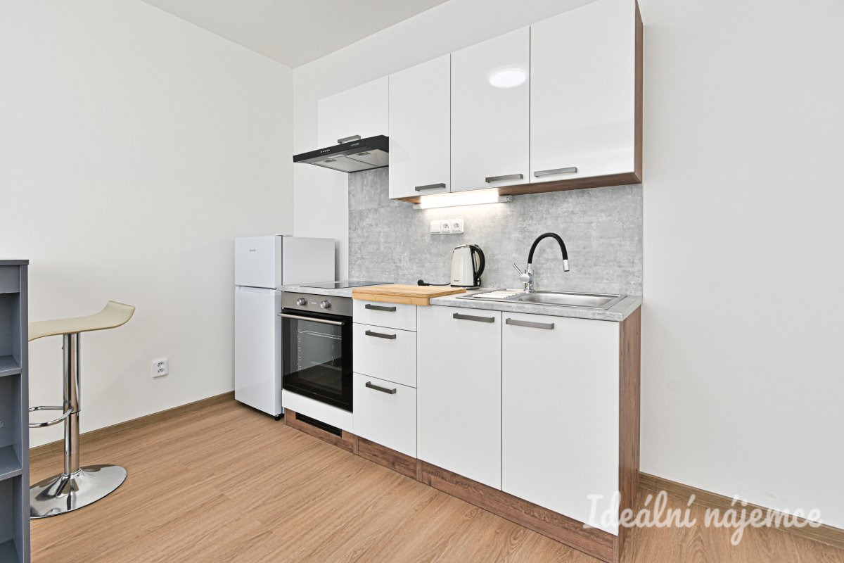 Pronájem bytu 1+kk, Stejskalova, Židenice, 15000 Kč/měs, 31 m2