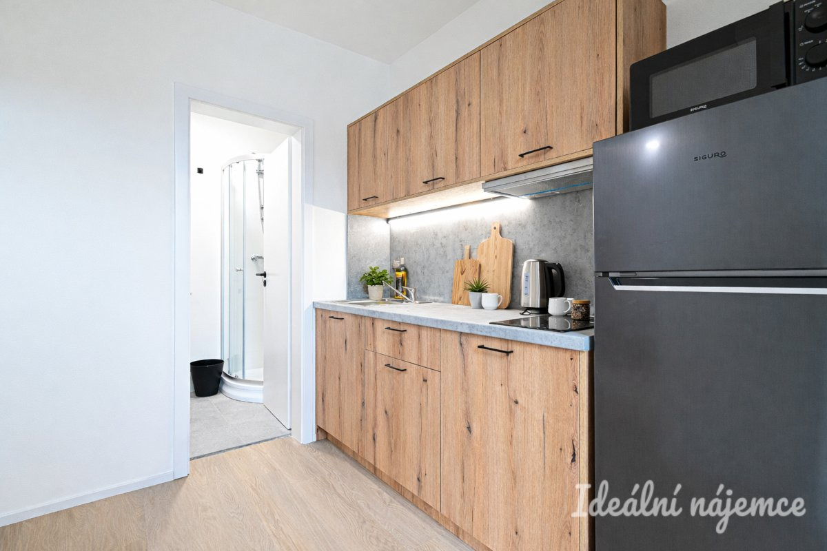 Pronájem bytu 1+1, Bubeníčkova, Židenice, 14 000 Kč/měs, 25 m2