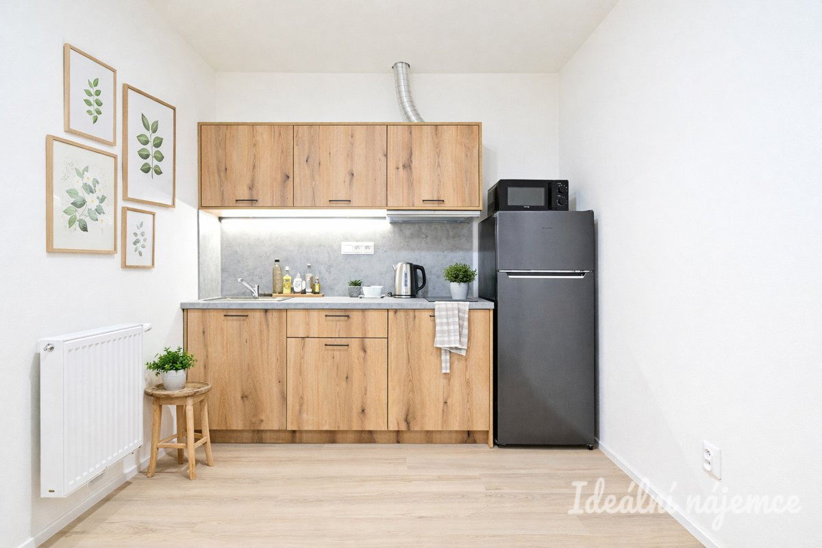 Pronájem bytu 2+kk, Bubeníčkova, Židenice, 16 500 Kč/měs, 35 m2